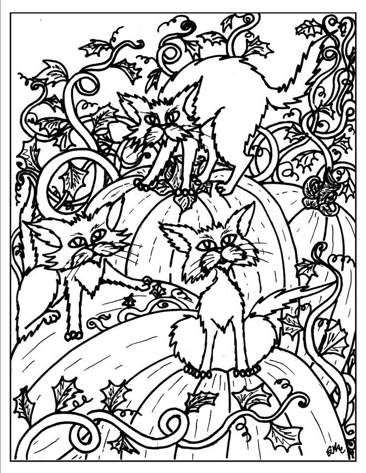 35 Scary Cat Coloring Pages 35