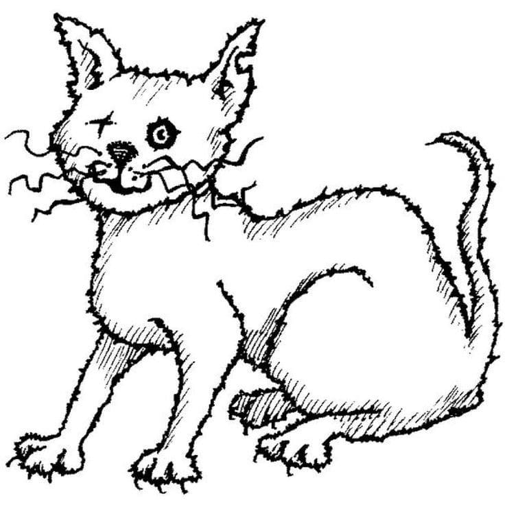 35 Scary Cat Coloring Pages 37