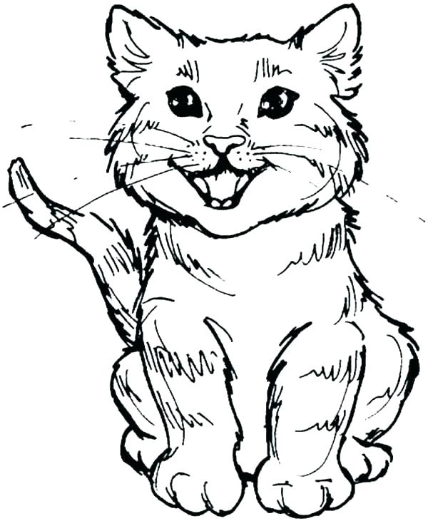 35 Scary Cat Coloring Pages 40