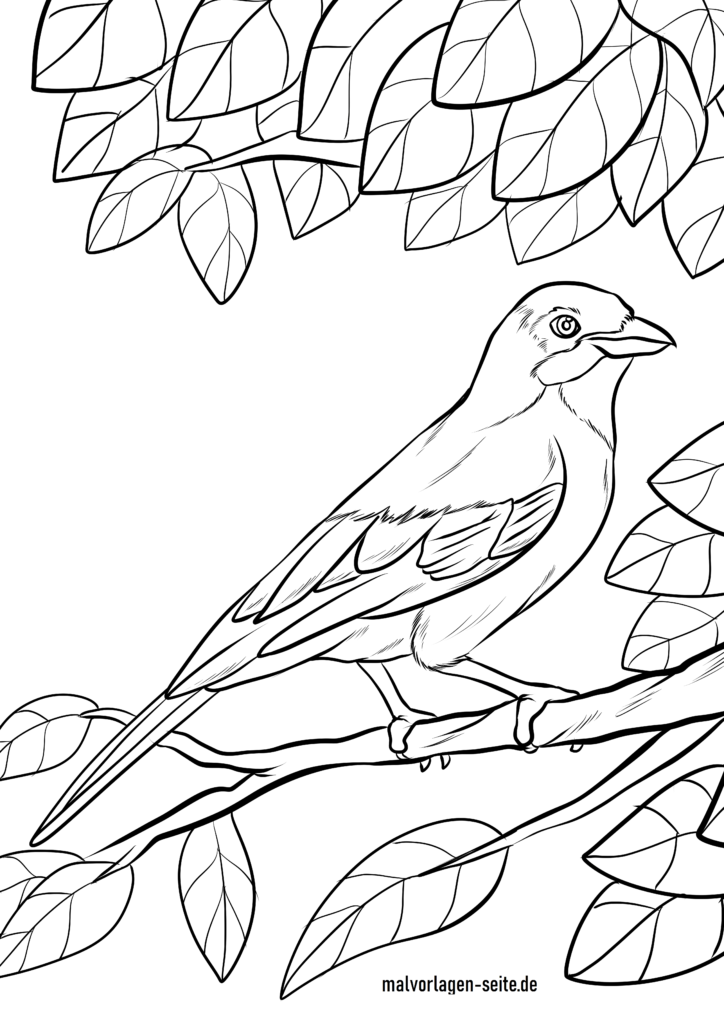 Get 85 Blue Bird Coloring Pages Ideas 40