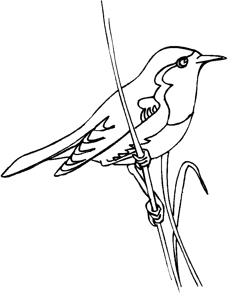 Get 85 Blue Bird Coloring Pages Ideas 41