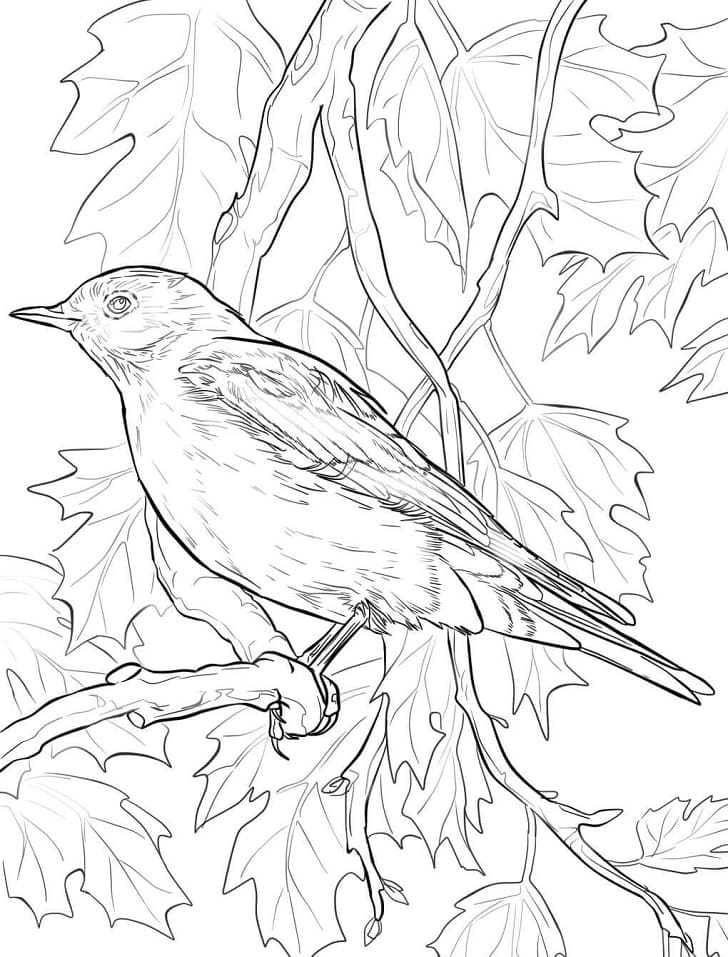 Get 85 Blue Bird Coloring Pages Ideas 49