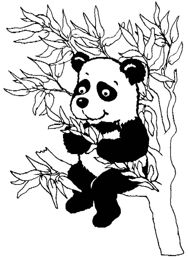 Get 85 Panda Coloring Pages Free Printable Ideas 64
