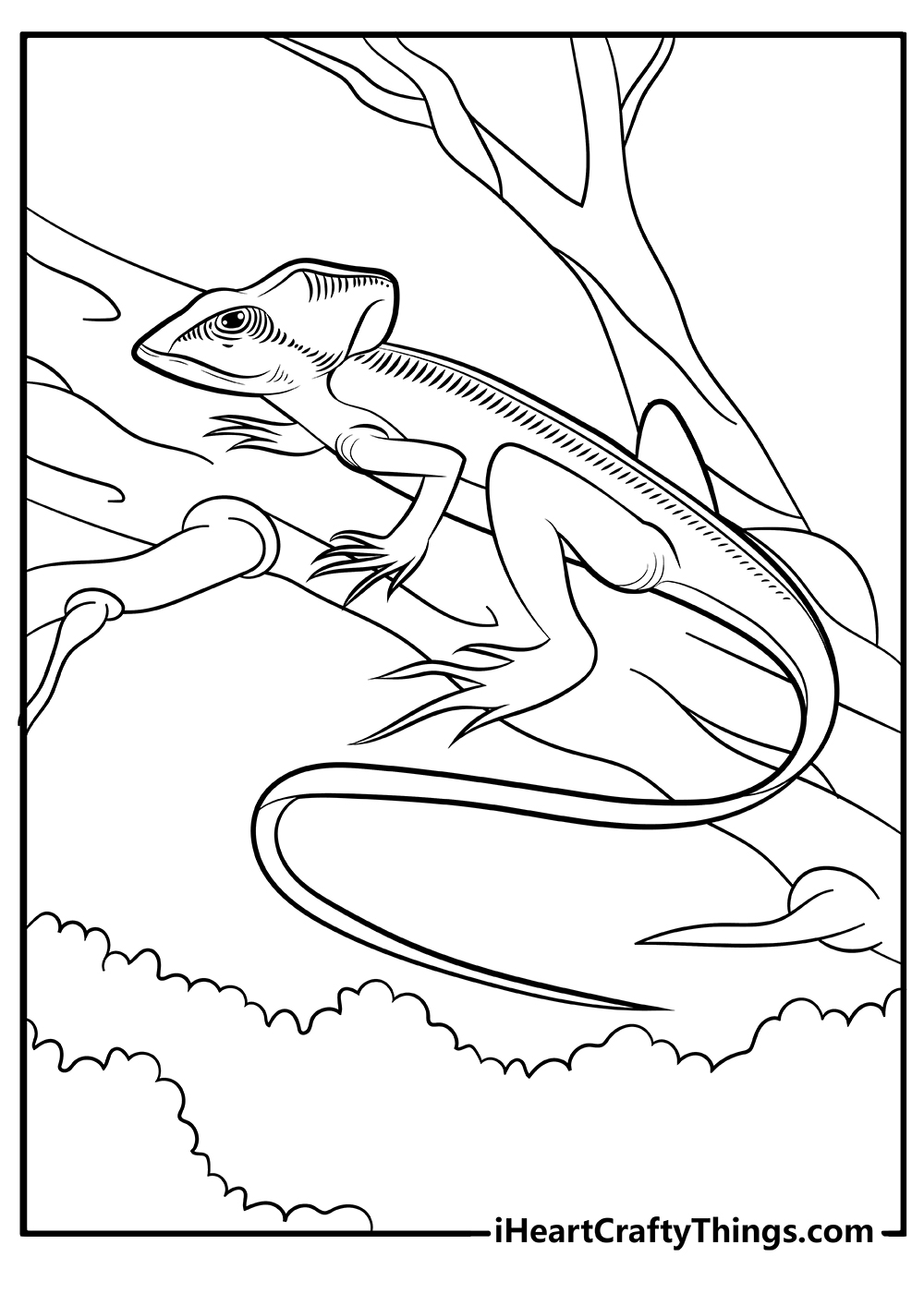 Get 85 Printable Lizard Coloring Pages Ideas 60