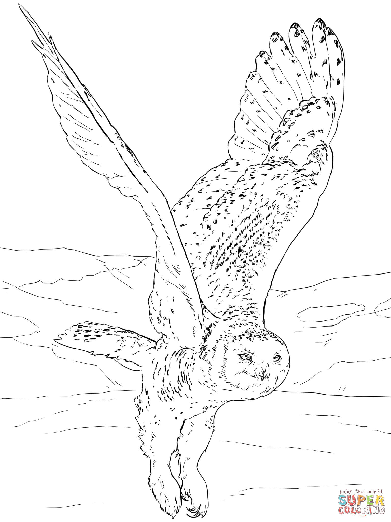 Get 85 Snowy Owl Coloring Page Ideas 53
