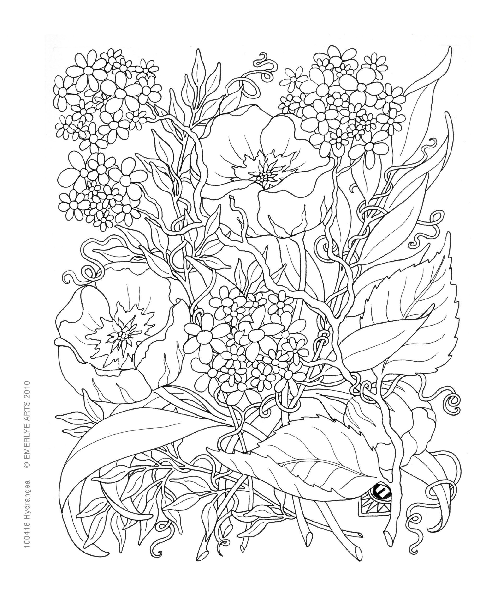 45 Printable Secret Garden Coloring Book Pages 64