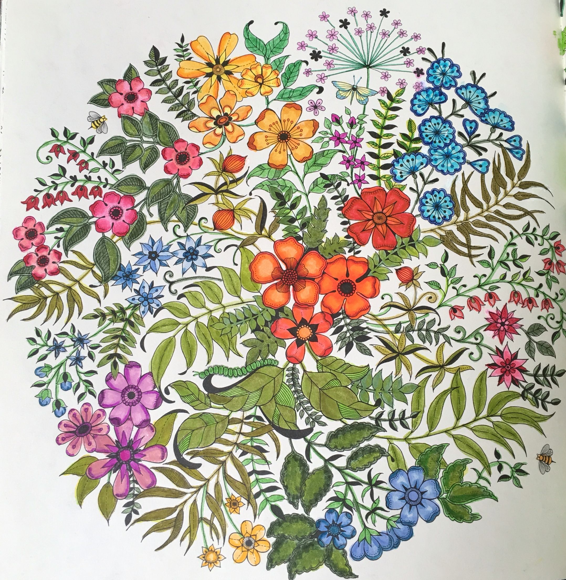 45 Printable Secret Garden Coloring Book Pages 69