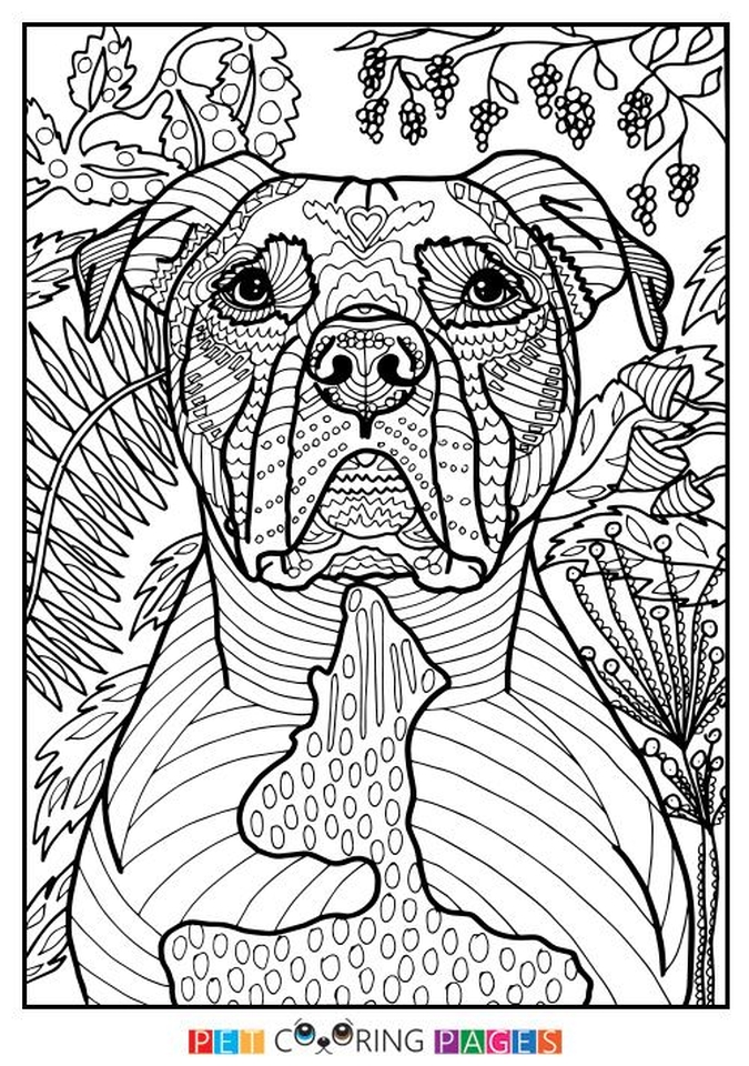 90 Printable Summer Coloring Pages For Teens 30