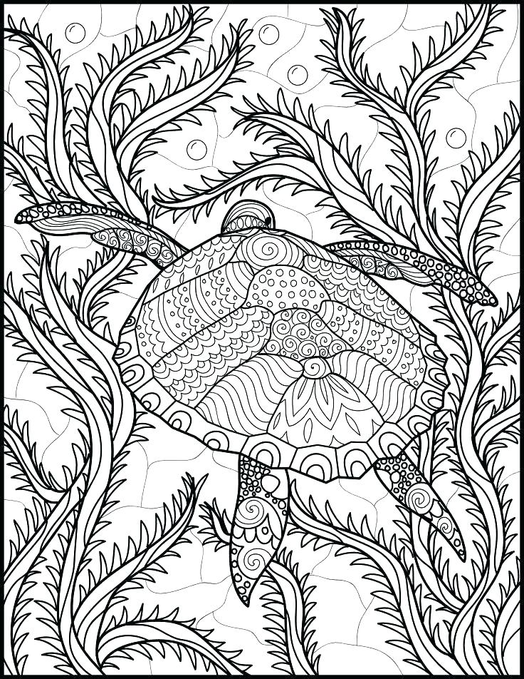 Get 85 Animal Coloring Pages For Adults Printable Ideas 14