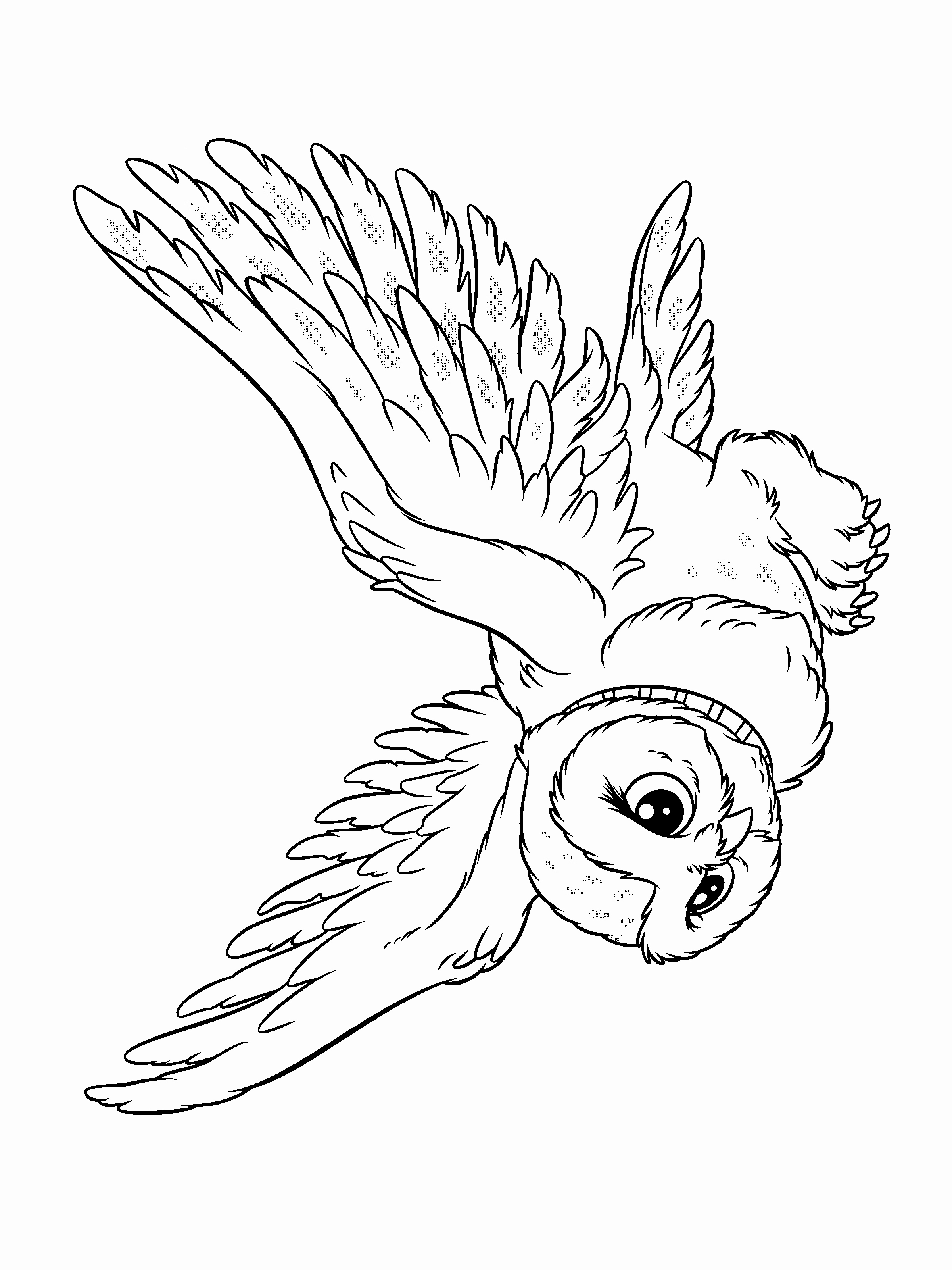 Get 85 Snowy Owl Coloring Page Ideas 10