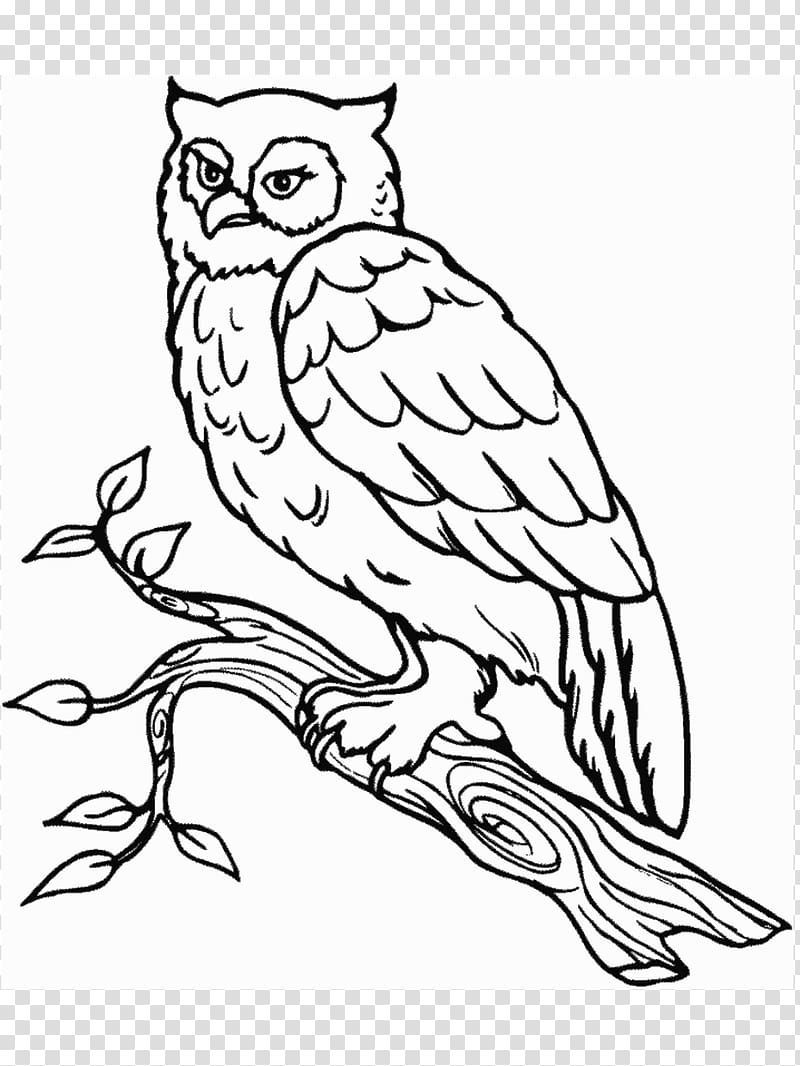 Get 85 Snowy Owl Coloring Page Ideas 12