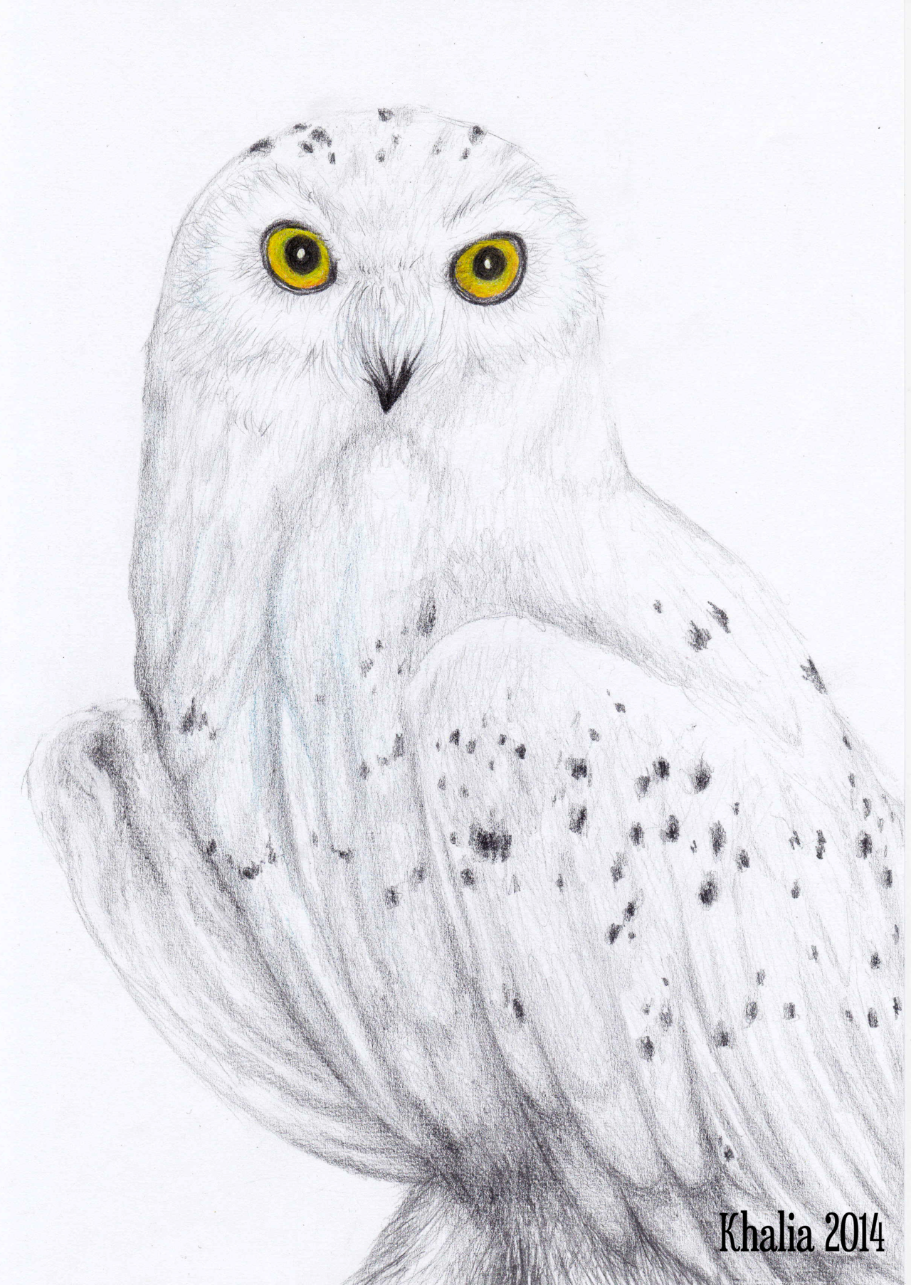 Get 85 Snowy Owl Coloring Page Ideas 7