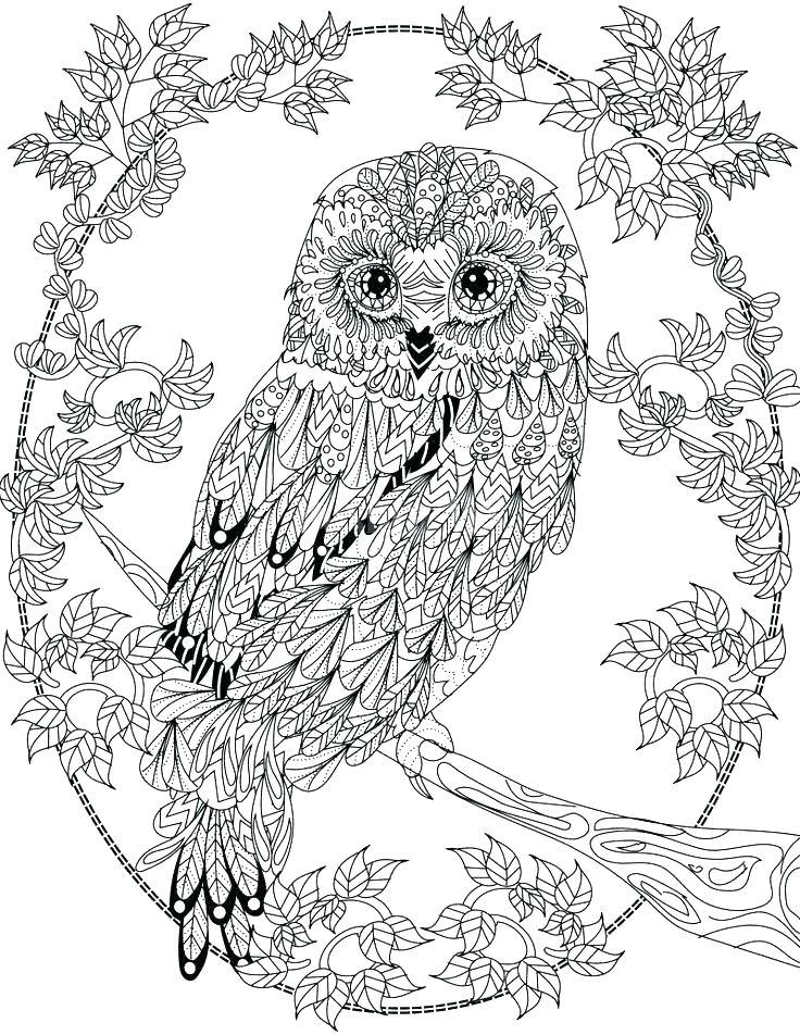 Get 85 Snowy Owl Coloring Page Ideas 8