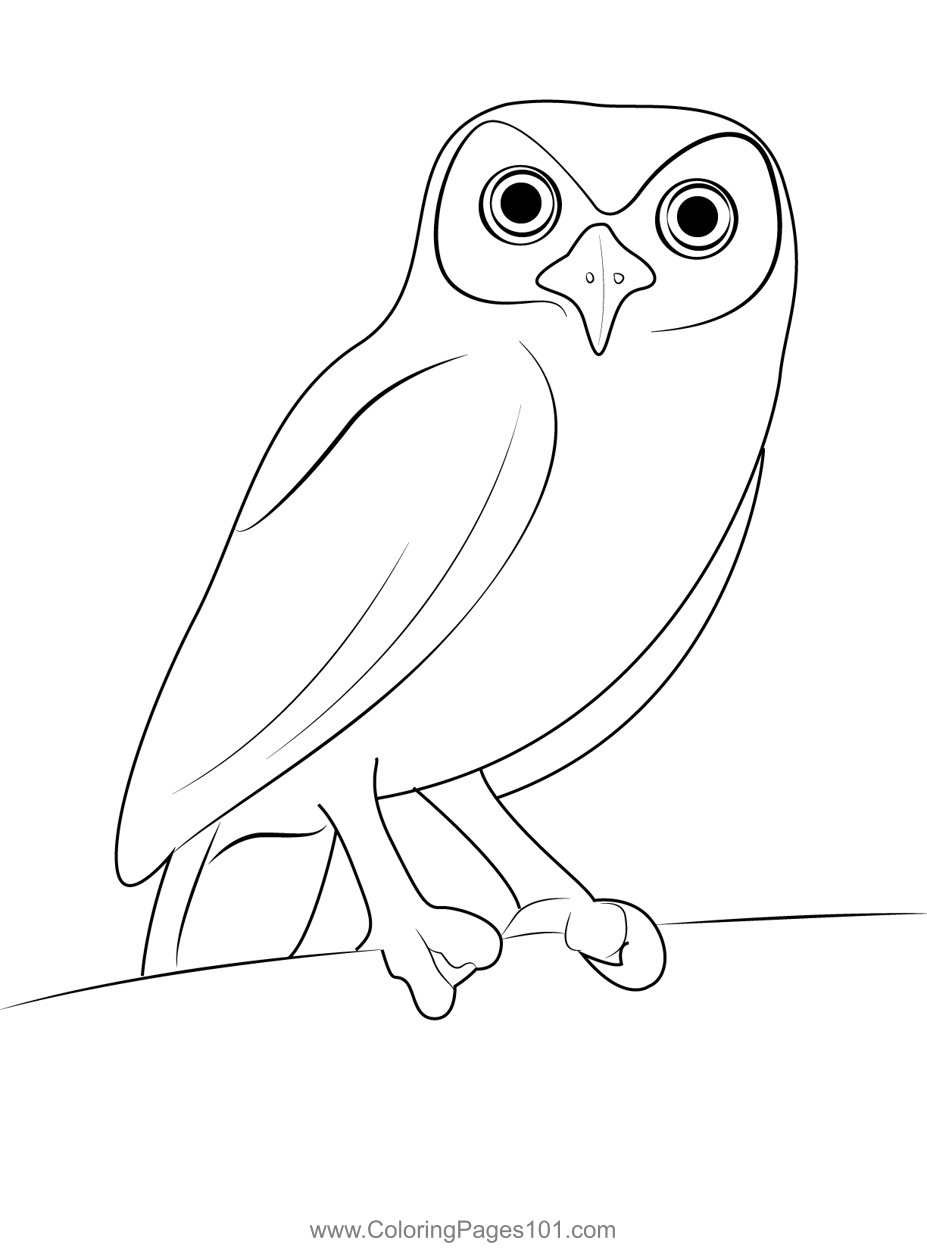 Get 85 Snowy Owl Coloring Page Ideas 9